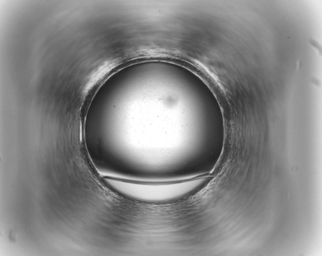 X0000093211269200710241150