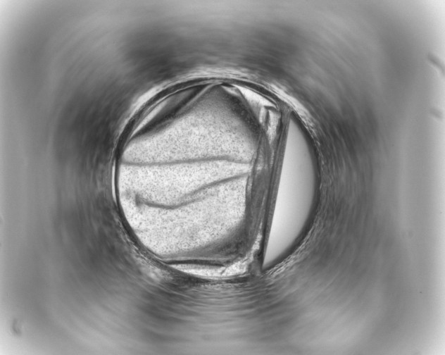 X0000093211272200710241150