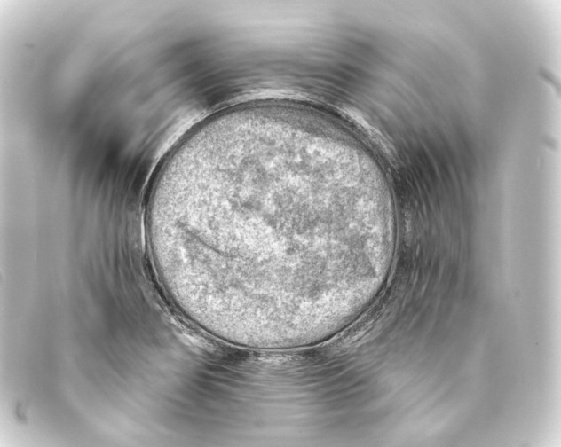 X0000093211274200710241150