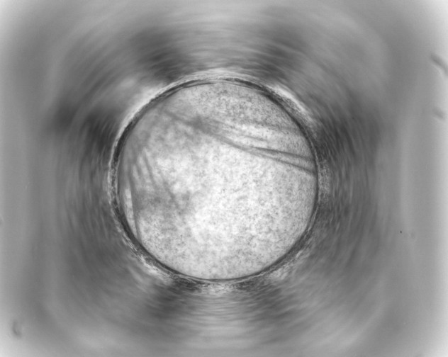 X0000093211278200710241150