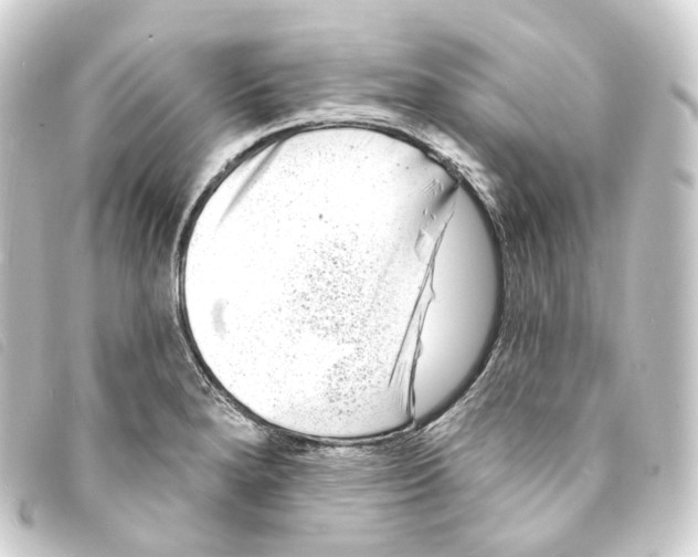 X0000093211280200710241150