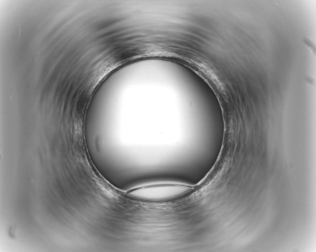 X0000093211281200710241150