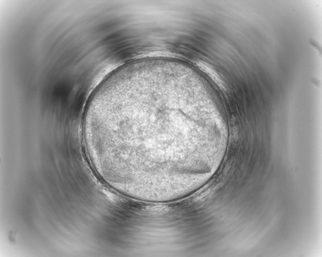 X0000093211282200710241150