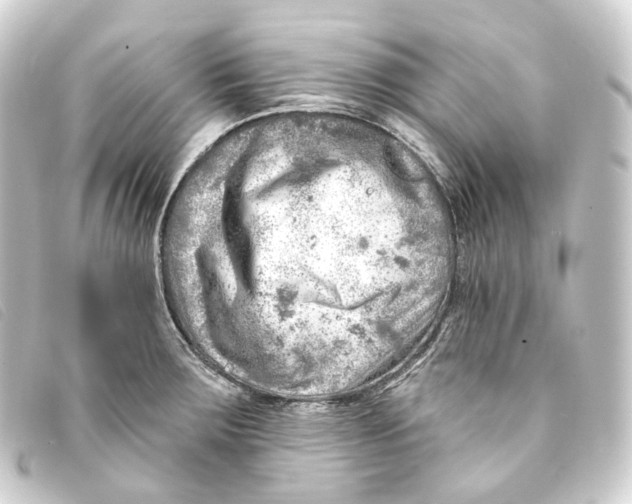 X0000093211283200710241150