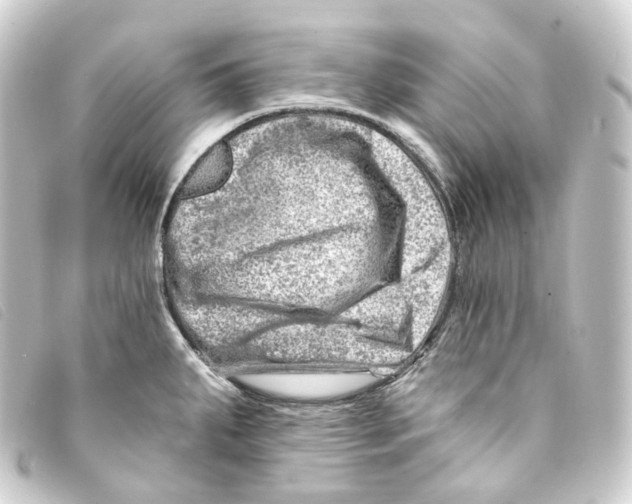 X0000093211287200710241149