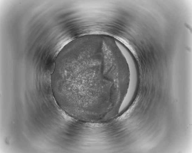 X0000093211289200710241149