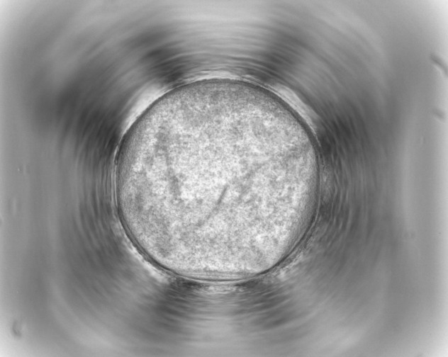 X0000093211290200710241149