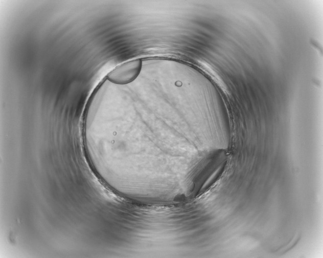 X0000093211291200710241149