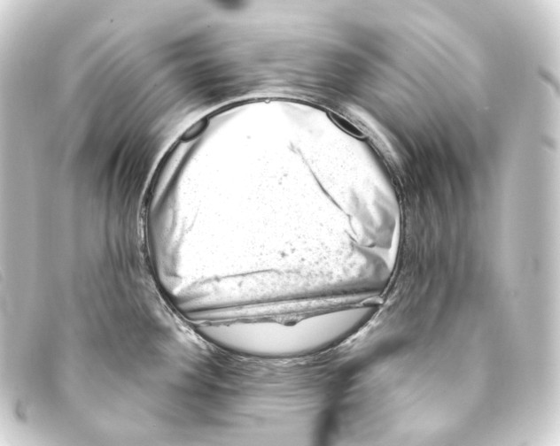 X0000093211292200710241149