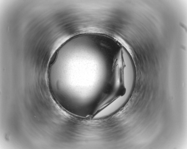 X0000093211293200710241149