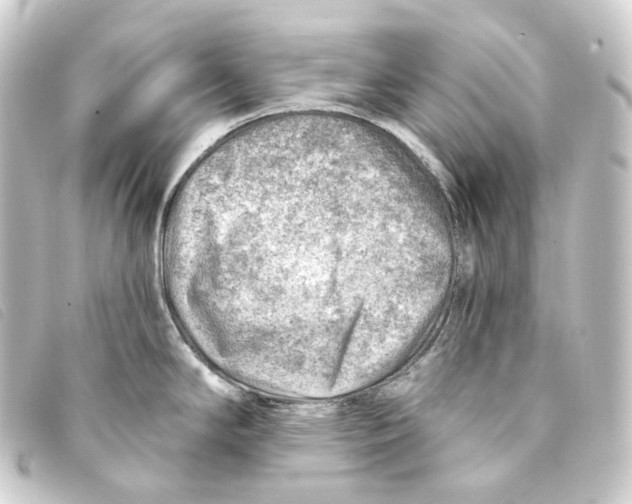 X0000093211294200710241149