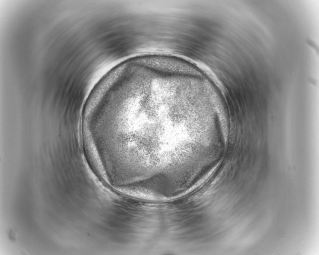 X0000093211295200710241149