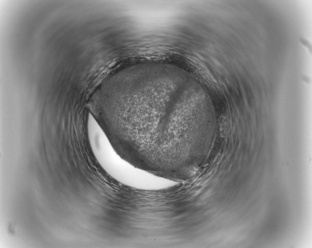 X0000093211298200710241149