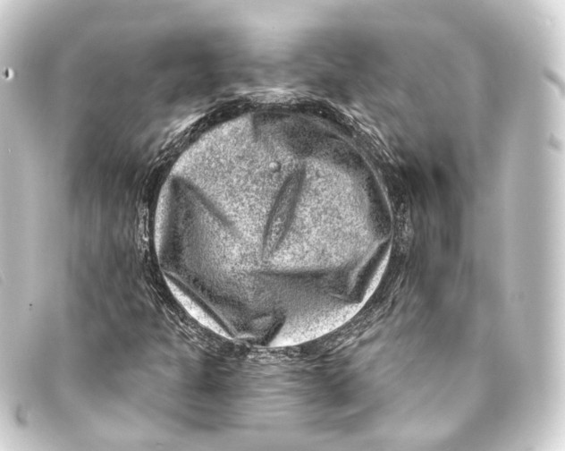 X0000093211301200710241149