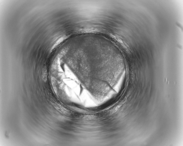 X0000093211306200710241149