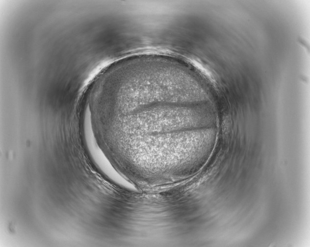 X0000093211310200710241149