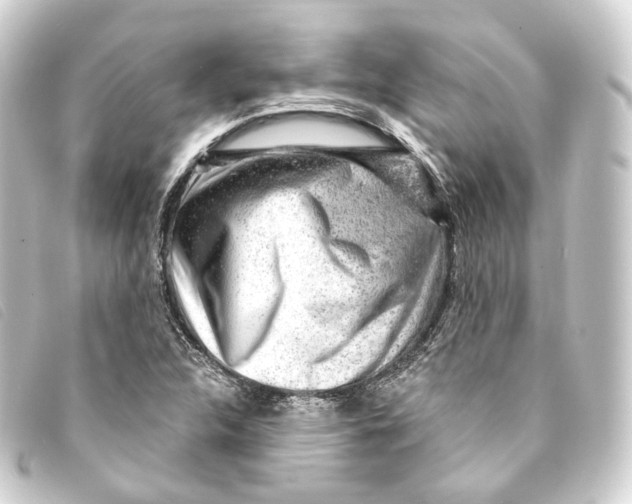 X0000093211312200710241149