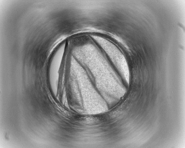 X0000093211318200710241149