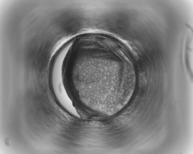 X0000093211319200710241149