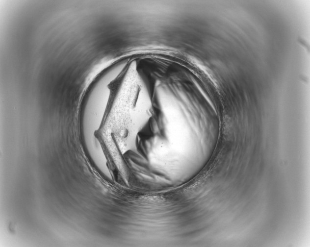 X0000093211320200710241149