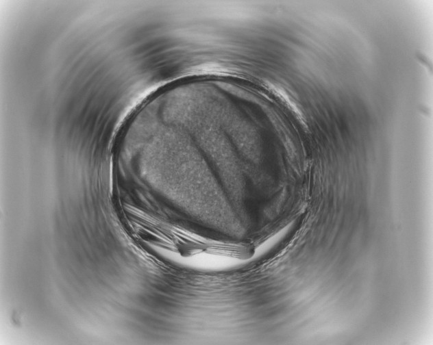 X0000093211323200710241149