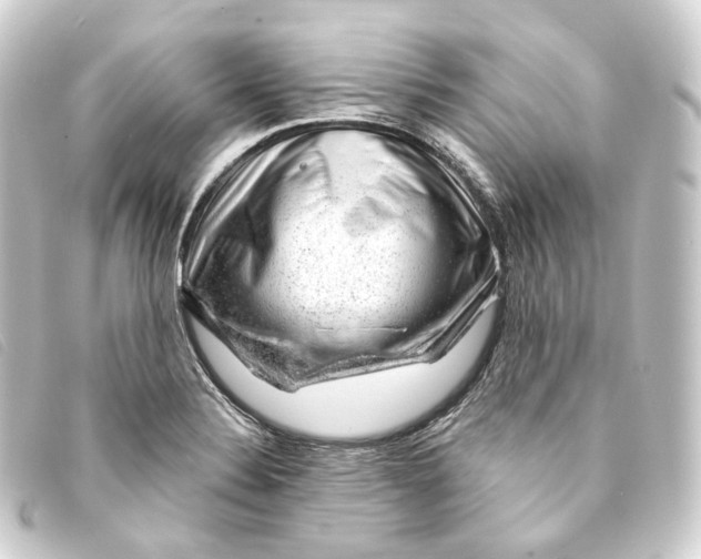 X0000093211324200710241149