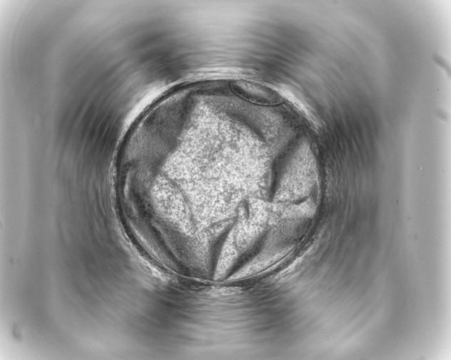 X0000093211325200710241149