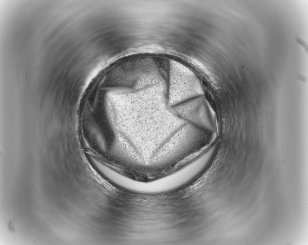 X0000093211326200710241149