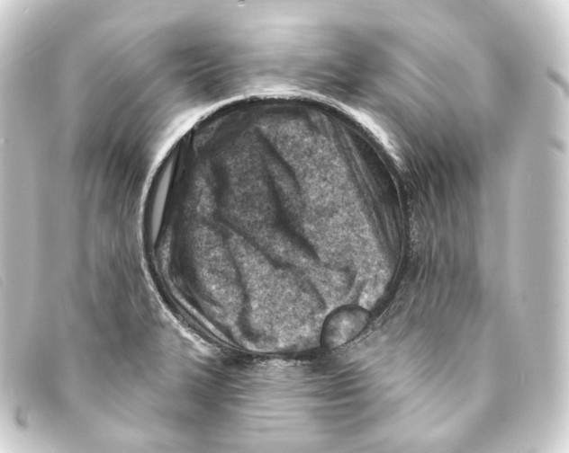 X0000093211327200710241149