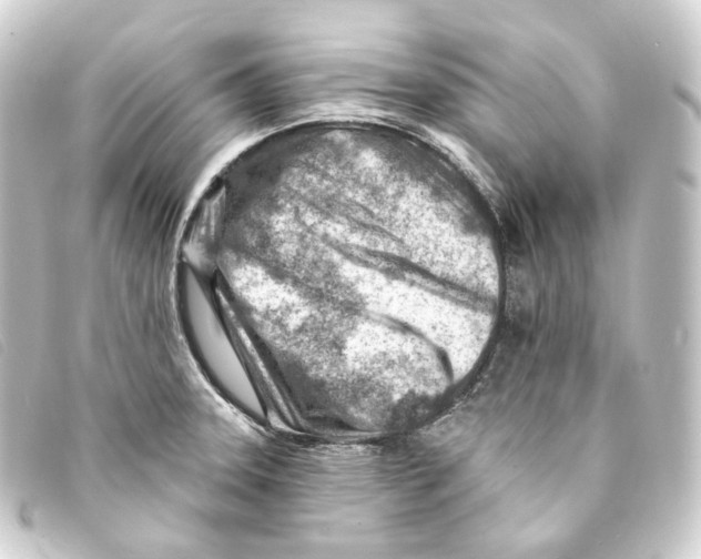 X0000093211331200710241149
