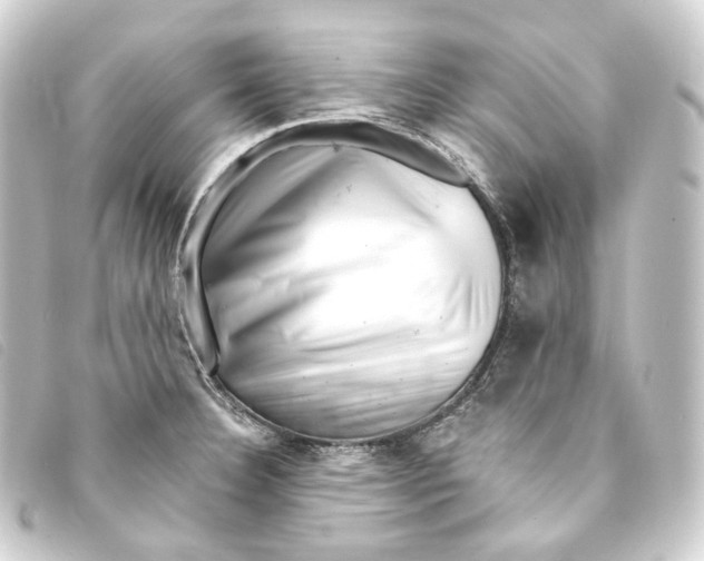 X0000093211332200710241149