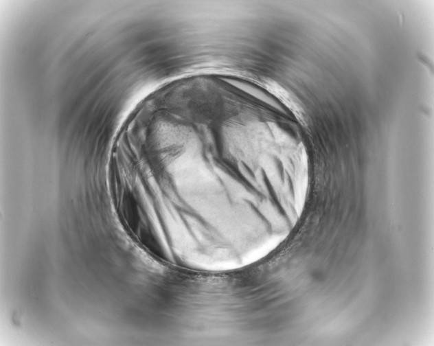 X0000093211334200710241149