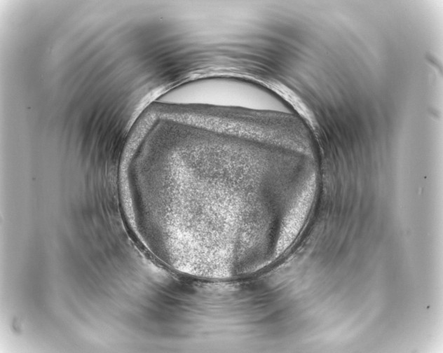 X0000093211337200710241149