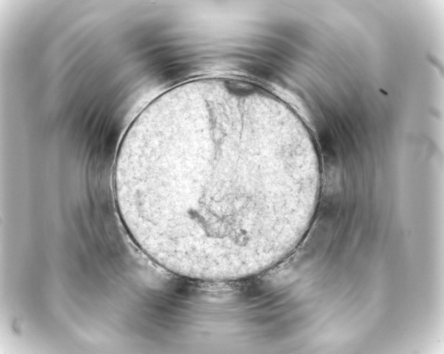 X0000093211338200710241149