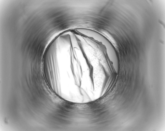 X0000093211340200710241149