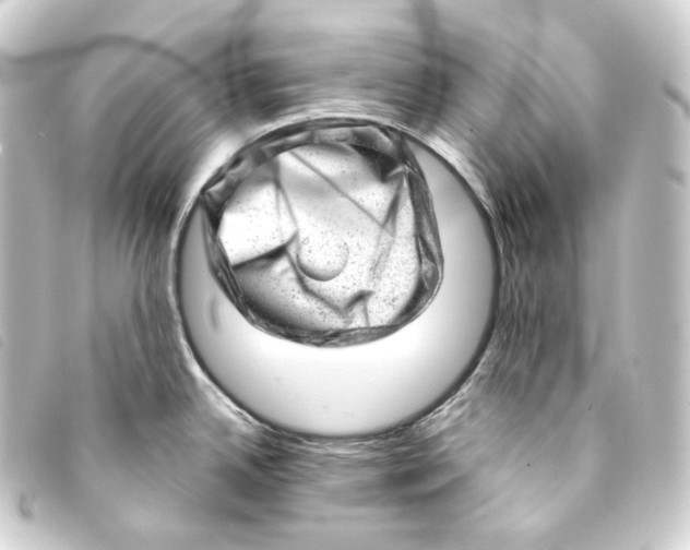 X0000093211342200710241149