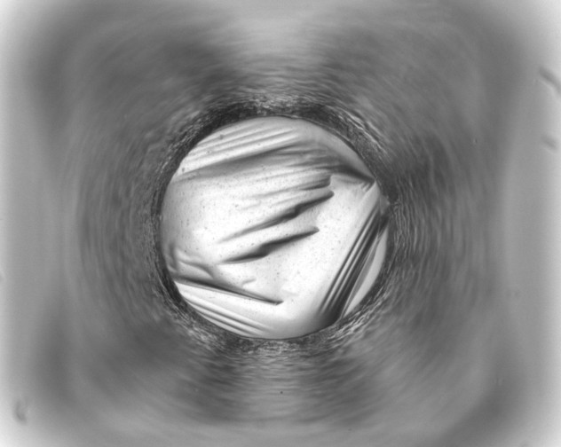 X0000093211345200710241149