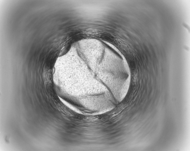 X0000093211346200710241149