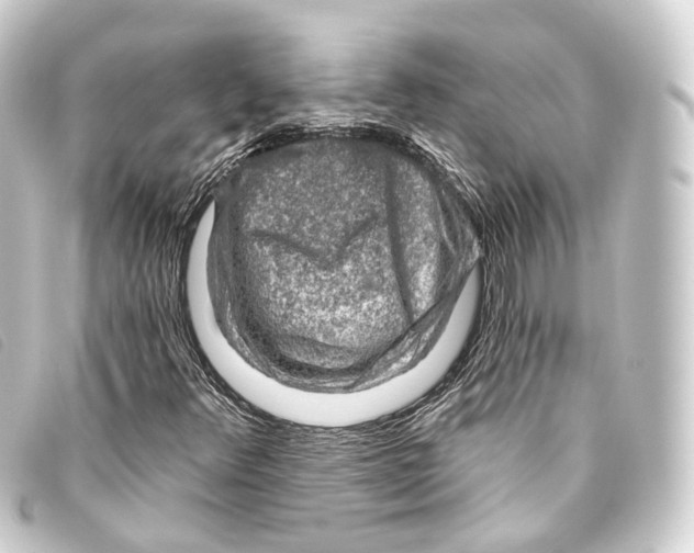 X0000093211348200710241149