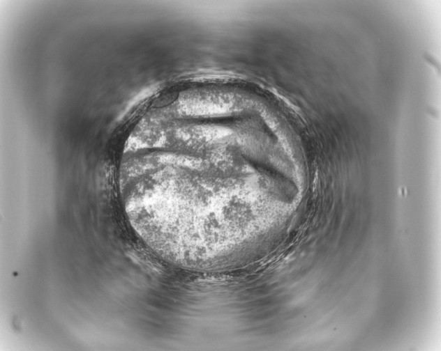 X0000093211351200710241149