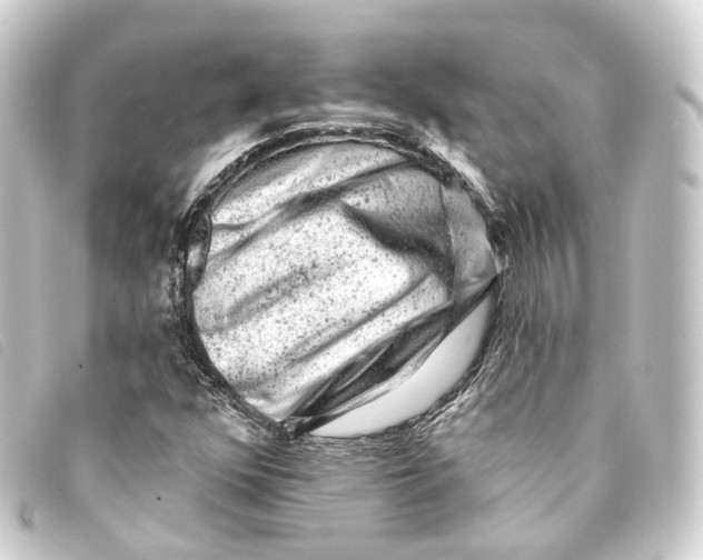 X0000093211352200710241149