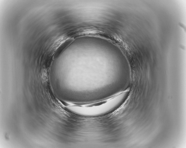 X0000093211353200710241149