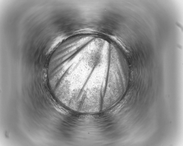 X0000093211355200710241148