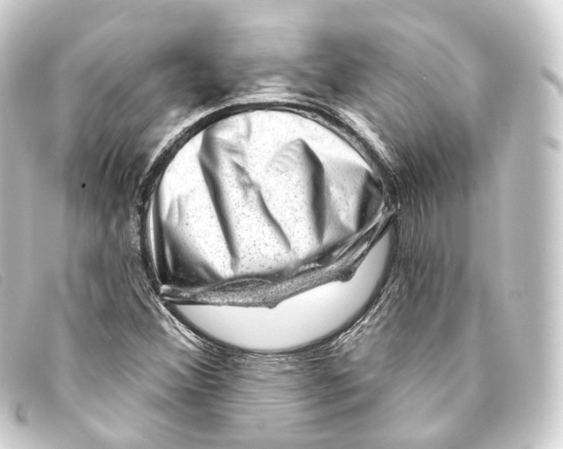 X0000093211356200710241148