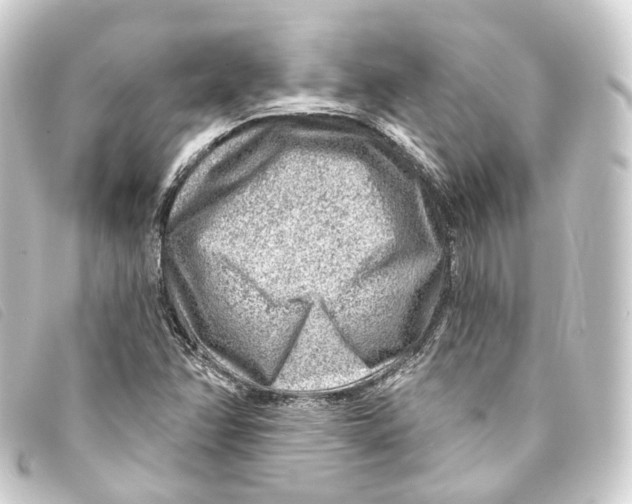 X0000093211358200710241148