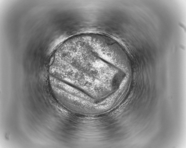X0000093211359200710241148