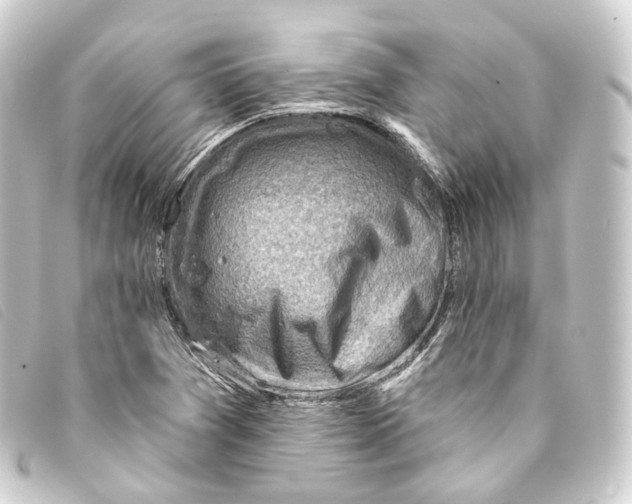 X0000093211361200710241148