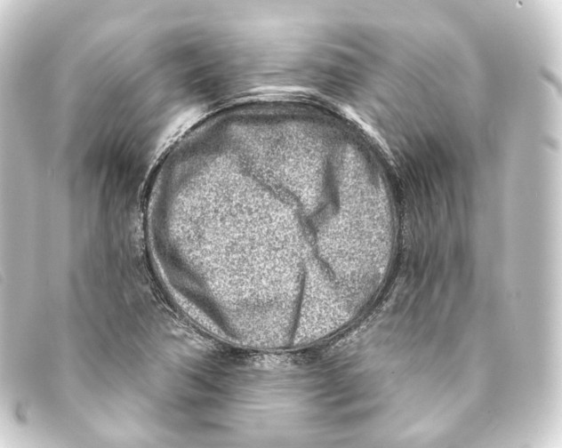 X0000093211362200710241148