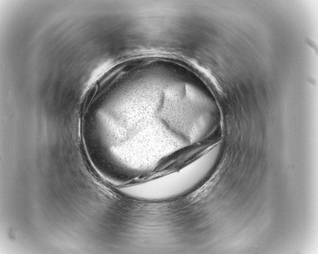 X0000093211365200710241148