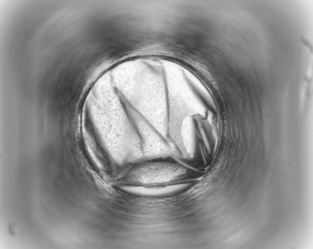 X0000093211366200710241148